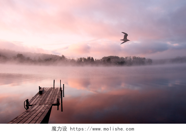 清晨湖面上飞翔的海鸥早上湖雾鸥